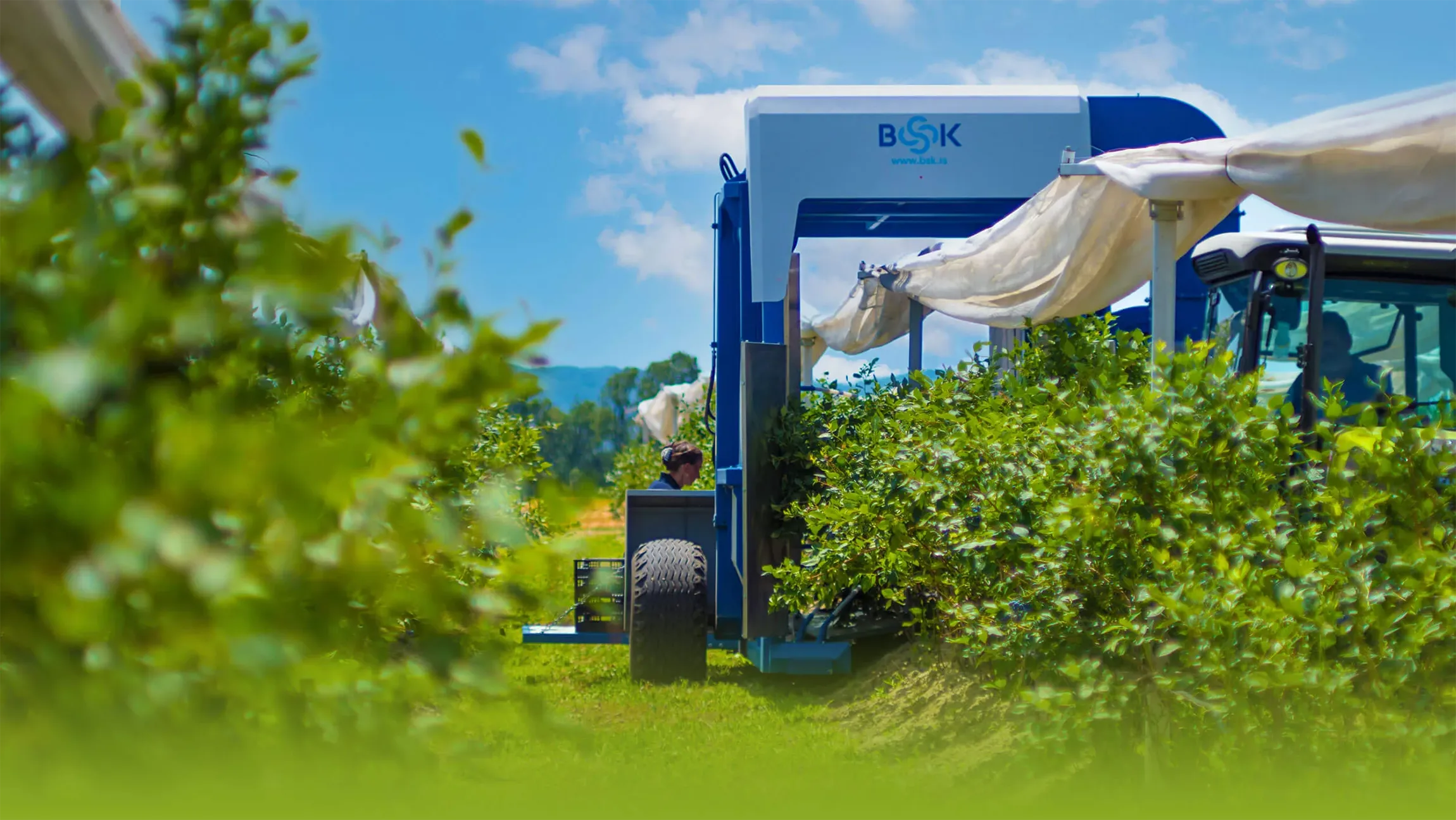 Blueberry Harvester And Picking Machine